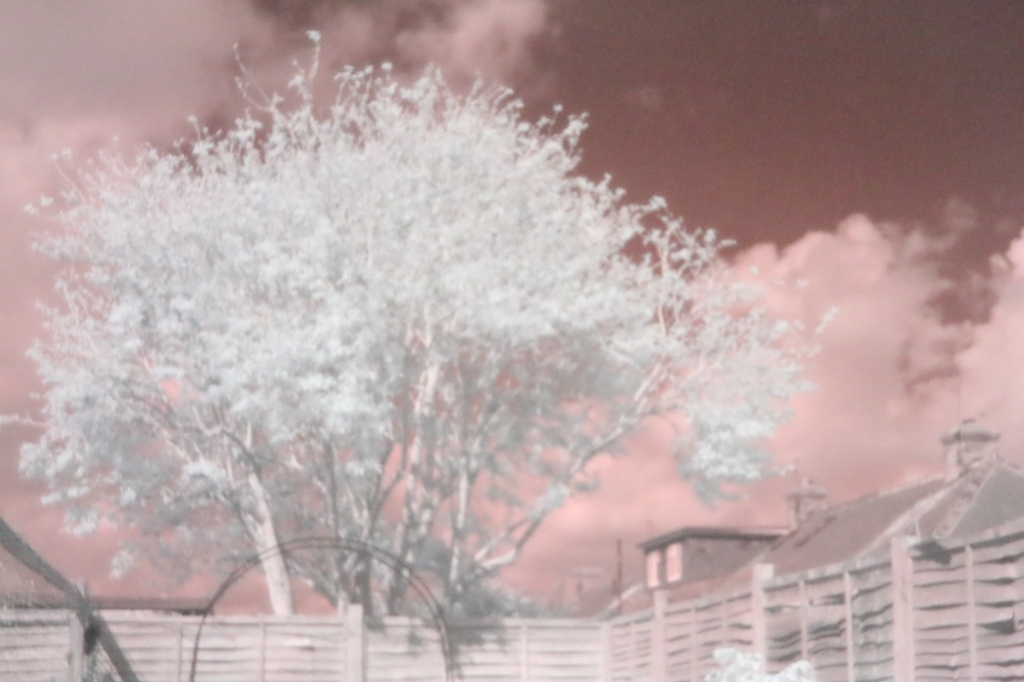 Infrared Photography in York: Can You Believe This is NOT Photoshopped?